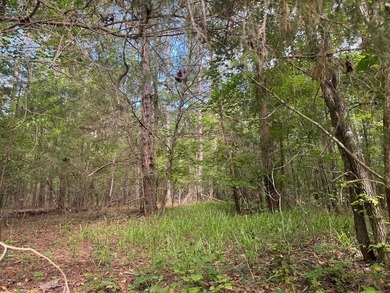 Two parcels equaling .33 acres in Melody Lakes. This lot is - photo 1