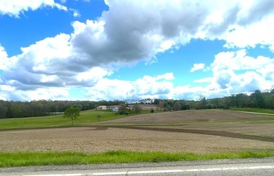 176 Acres of prime farmland and hunter's paradise in Southeast - photo 11