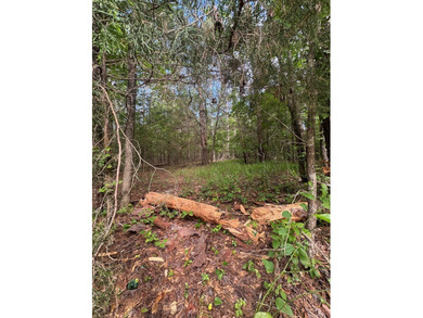 Two parcels equaling .33 acres in Melody Lakes. This lot is - photo 2