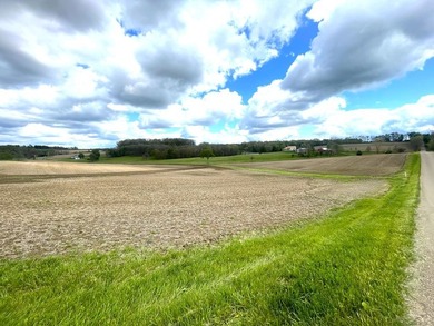 176 Acres of prime farmland and hunter's paradise in Southeast - photo 12