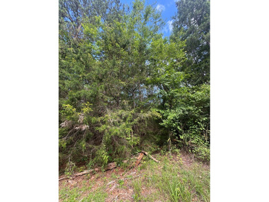 Two parcels equaling .33 acres in Melody Lakes. This lot is - photo 3