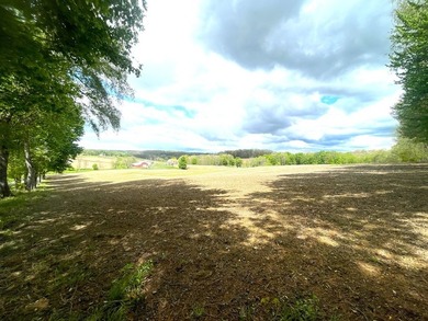 176 Acres of prime farmland and hunter's paradise in Southeast - photo 13