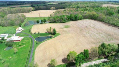 176 Acres of prime farmland and hunter's paradise in Southeast - photo 15
