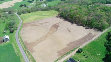 176 Acres of prime farmland and hunter's paradise in Southeast - photo 19