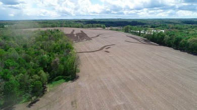 176 Acres of prime farmland and hunter's paradise in Southeast - photo 20