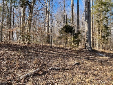 (private lake, pond, coastal) Lot Sale Pending in Ruther Glen Virginia