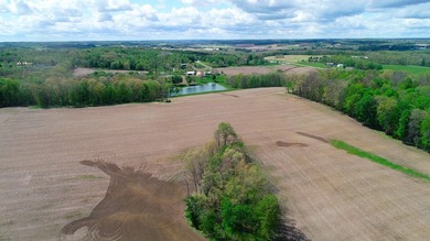 176 Acres of prime farmland and hunter's paradise in Southeast - photo 21