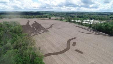 176 Acres of prime farmland and hunter's paradise in Southeast - photo 22