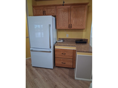 WATERFRONT - 2 Bedroom / 2 Bath home located in the pet-friendly - photo 22