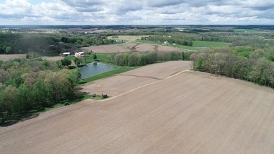 176 Acres of prime farmland and hunter's paradise in Southeast - photo 23