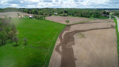 176 Acres of prime farmland and hunter's paradise in Southeast - photo 25