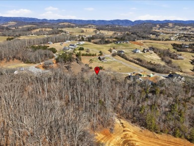 Gated Cherokee Lake Access Lot - photo 9