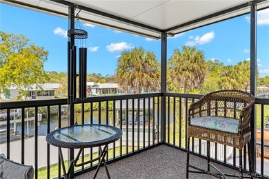 DIRECT GULF ACCESS, NO FIXED BRIDGES, 10,000 LB BOAT LIFT - photo 49