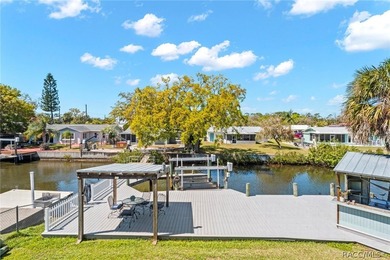 DIRECT GULF ACCESS, NO FIXED BRIDGES, 10,000 LB BOAT LIFT - photo 50