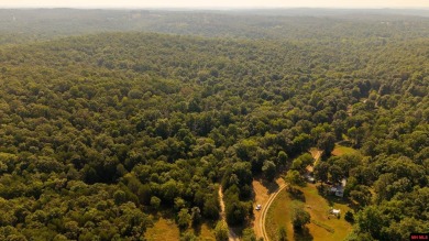 (private lake, pond, creek) Acreage For Sale in Clarkridge Arkansas