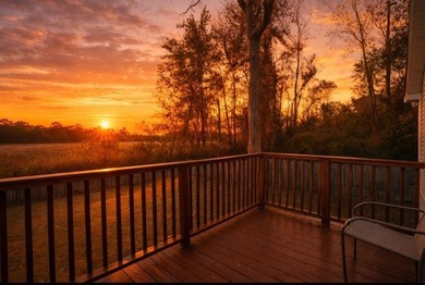 Discover serene lowcountry living in this stunning, impeccably - photo 2