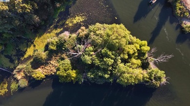 Discover your own 1-acre private island, accessible only by boat - photo 11