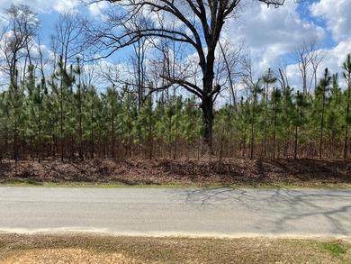 Parcel 4: 20 acres. Prime land on Baker Road?an increasingly - photo 1