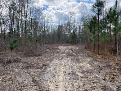 Parcel 4: 20 acres. Prime land on Baker Road?an increasingly - photo 2
