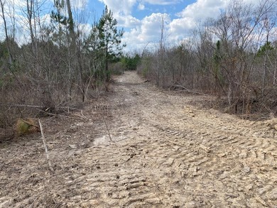 Parcel 4: 20 acres. Prime land on Baker Road?an increasingly - photo 3