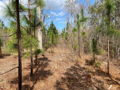 Parcel 4: 20 acres. Prime land on Baker Road?an increasingly - photo 4