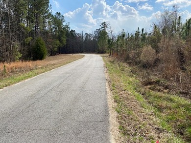 Parcel 4: 20 acres. Prime land on Baker Road?an increasingly - photo 5