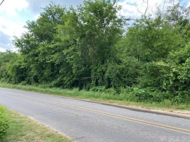 Lake Hamilton Lot For Sale in Hot Springs Arkansas