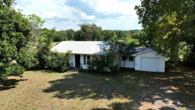 Lake Home For Sale in Parks, Arkansas