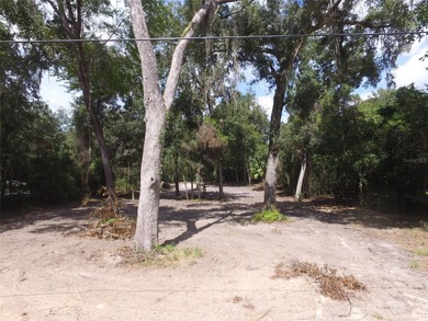 Tsala Apopka Chain of Lakes Lot For Sale in Floral City Florida