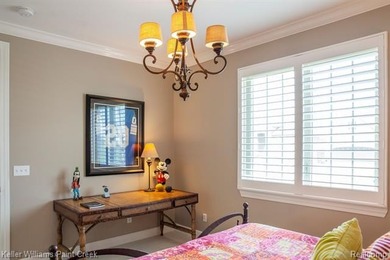 LUXURY maintenance free.... RANCH built by Pinnacle homes in - photo 35