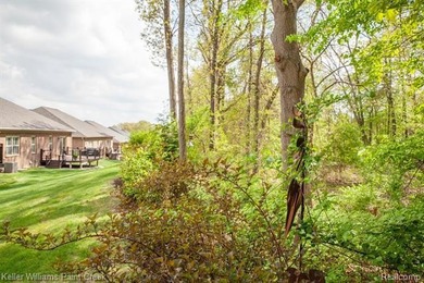 LUXURY maintenance free.... RANCH built by Pinnacle homes in - photo 47