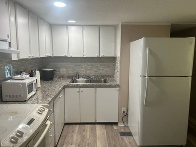 New Vinyl Plank Floors, New Sub Floors, New Paint, New - photo 4