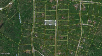 Tink Wig Lake Lot For Sale in Hawley Pennsylvania