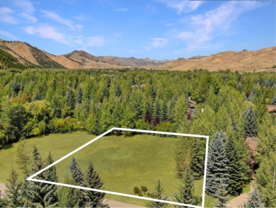 Lake Lot For Sale in Sun Valley, Idaho