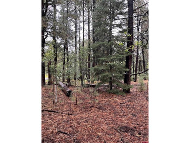 Vallecito Lake Lot For Sale in Vallecito Lake Colorado