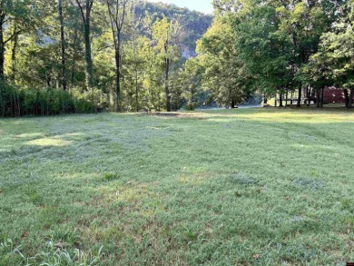Lake Lot For Sale in Cotter, Arkansas