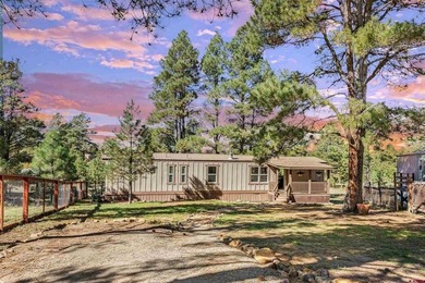Lake Forest Home For Sale in Pagosa Springs Colorado