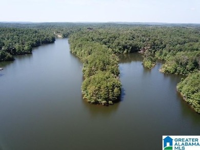 Sawtooth Branch is a private gated community on 240 acres in the - photo 1