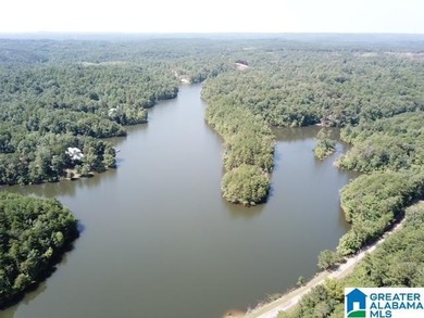 Sawtooth Branch is a private gated community on 240 acres in the - photo 2