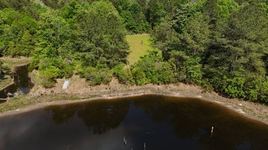 Located near Neely, Mississippi, this diverse hunting property - photo 4