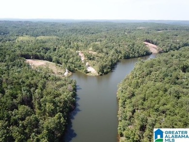 Sawtooth Branch is a private gated community on 240 acres in the - photo 5