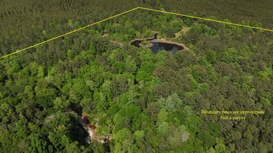 Located near Neely, Mississippi, this diverse hunting property - photo 8