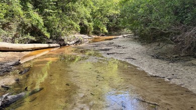 Located near Neely, Mississippi, this diverse hunting property - photo 9