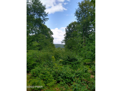 Lake Acreage For Sale in Roaring Brook Township, Pennsylvania