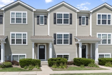 Lake Townhome/Townhouse Sale Pending in Pingree Grove, Illinois