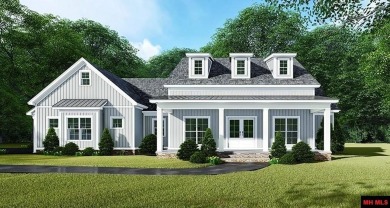 White River - Marion County  Home For Sale in Flippin Arkansas