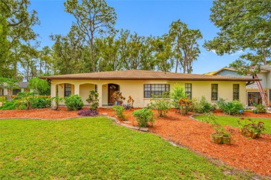 Lake Home For Sale in Lutz, Florida