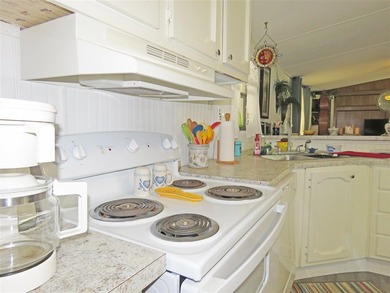 Step into a world of lakeside serenity with this stunning - photo 22
