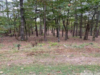 Lake Granada Lot For Sale in Hot Springs Village Arkansas