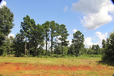 Stone Chimney Cove- A protected cove from large wave damage. - Lake Lot For Sale in Bullard, Texas